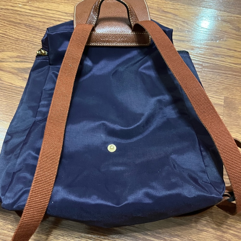 longchamp or pikage backpack. Blue